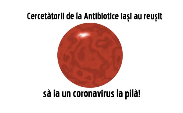 Cercetătorii de la Antibiotice Iaşi au reuşit să ia la pilă un coronavirus.