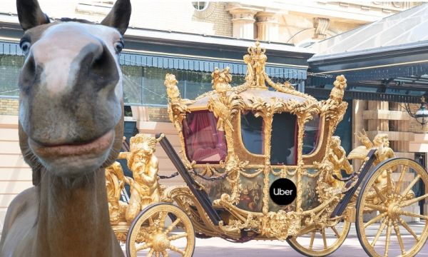 Calul care a tras caleaşca lui Charles: l-am dus la tarif de UberX.